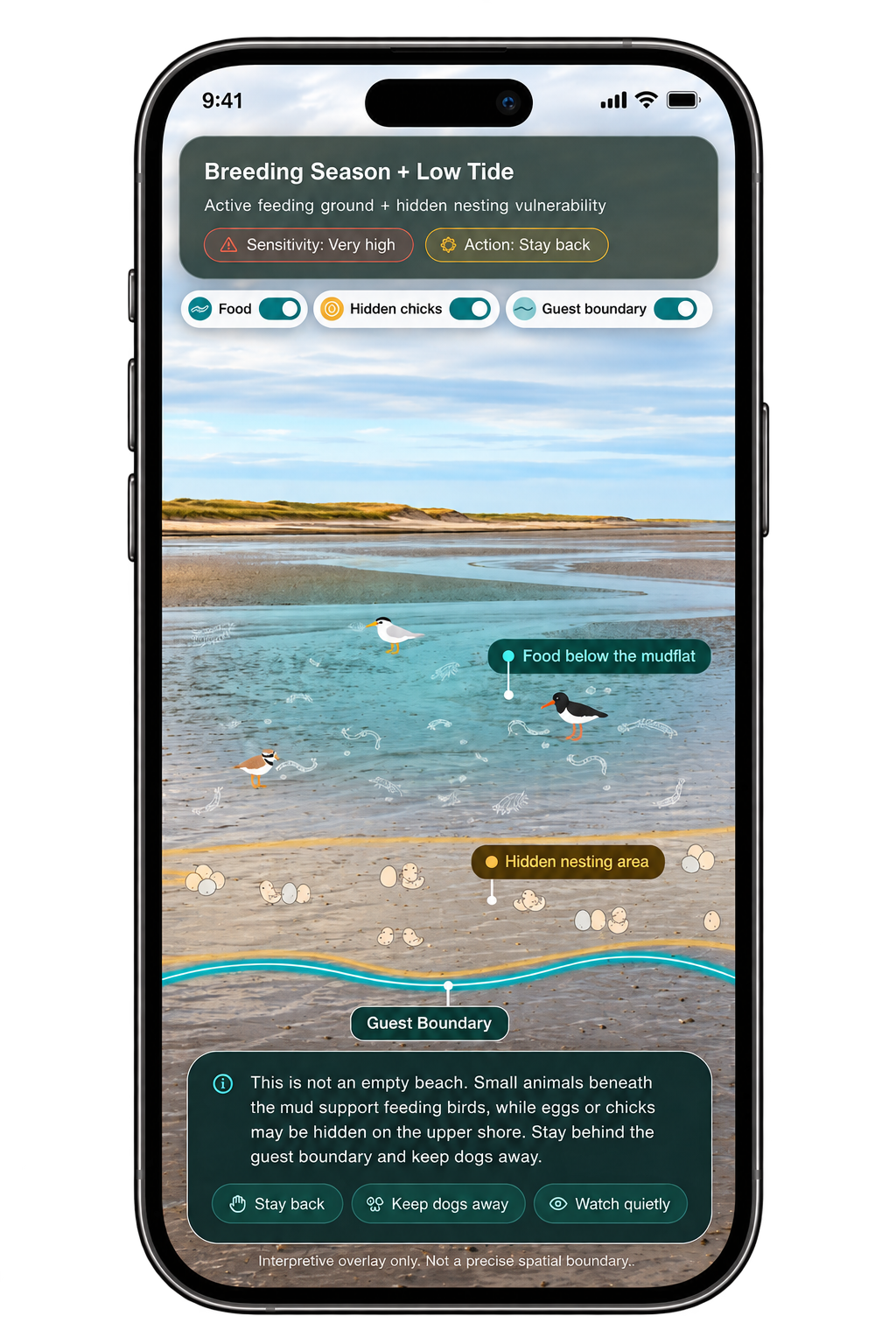 AR experience in an iPhone mockup