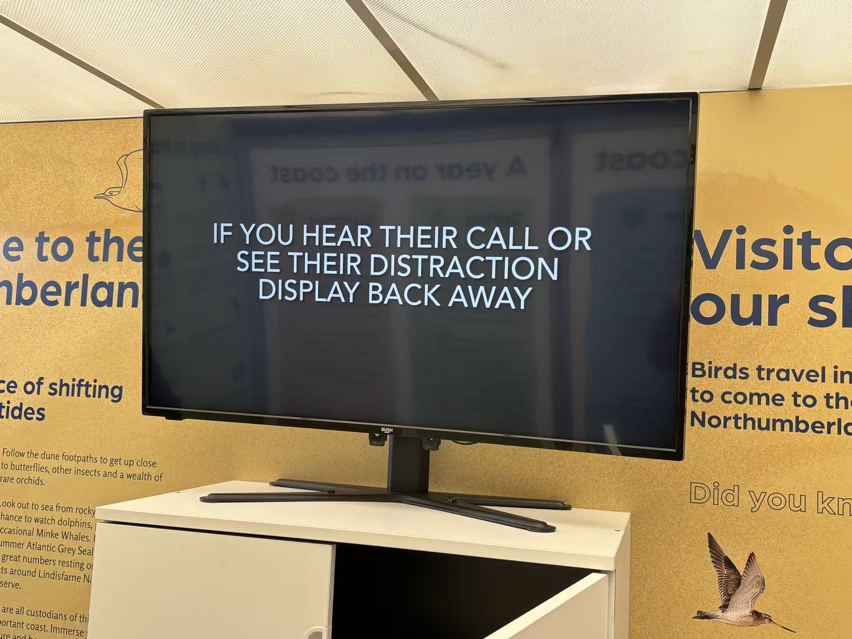 Conservation film playing on a screen inside the wagon