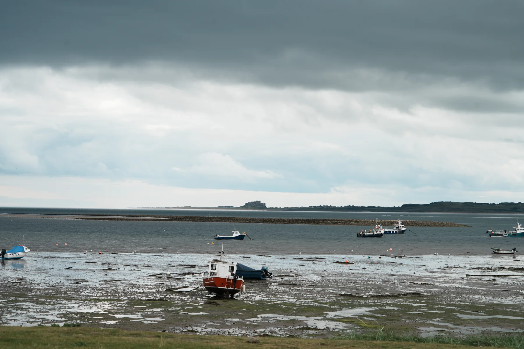 Tidal shore and exposed mudflat around Holy Island