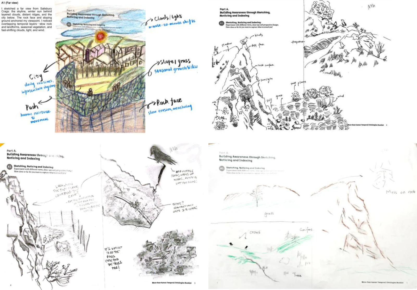 Four team field sketches exploring geological and ecological relationships