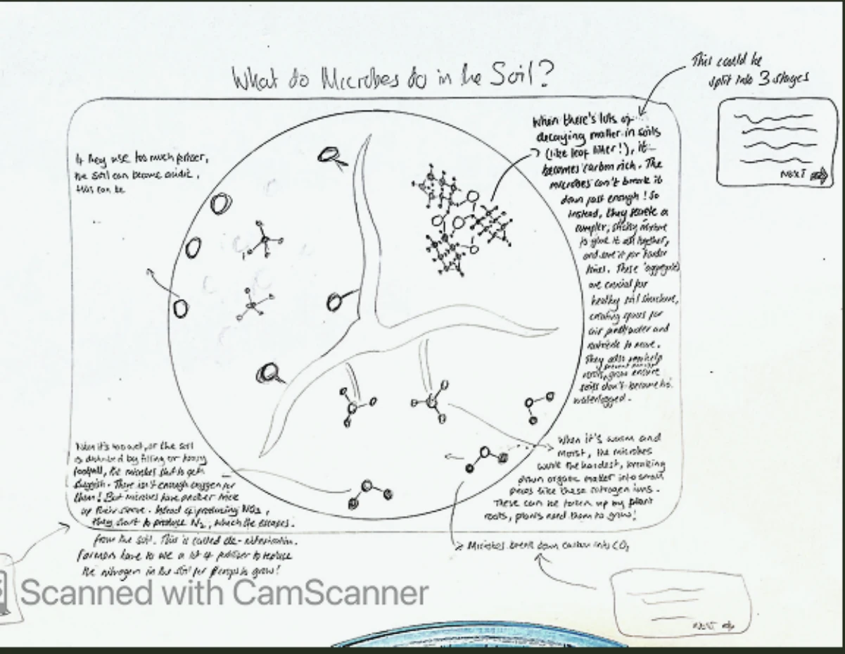 Hand-drawn interface sketch developing a root-like circular layout