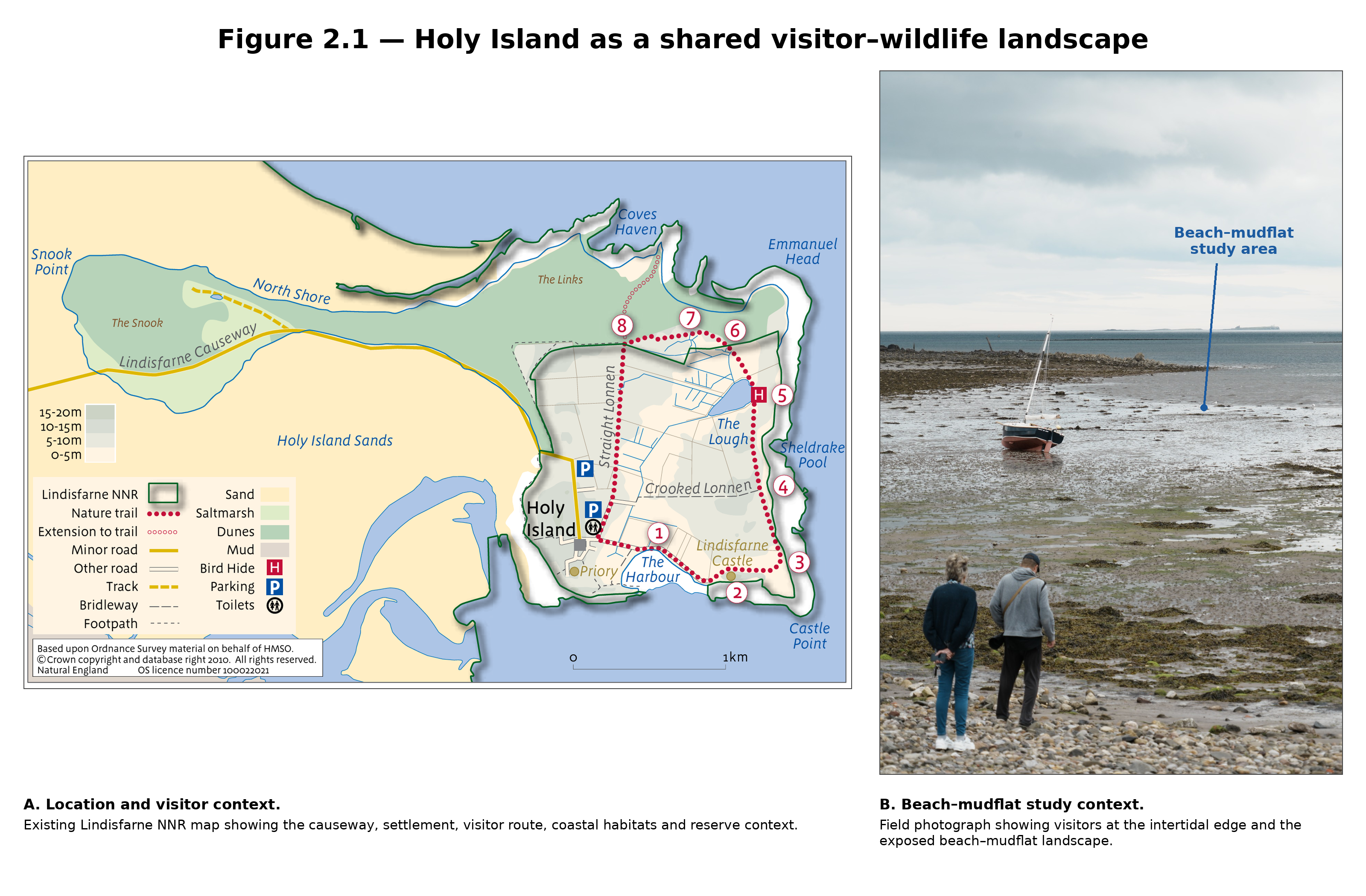 Research figure combining a Lindisfarne reserve map with the beach and mudflat study area