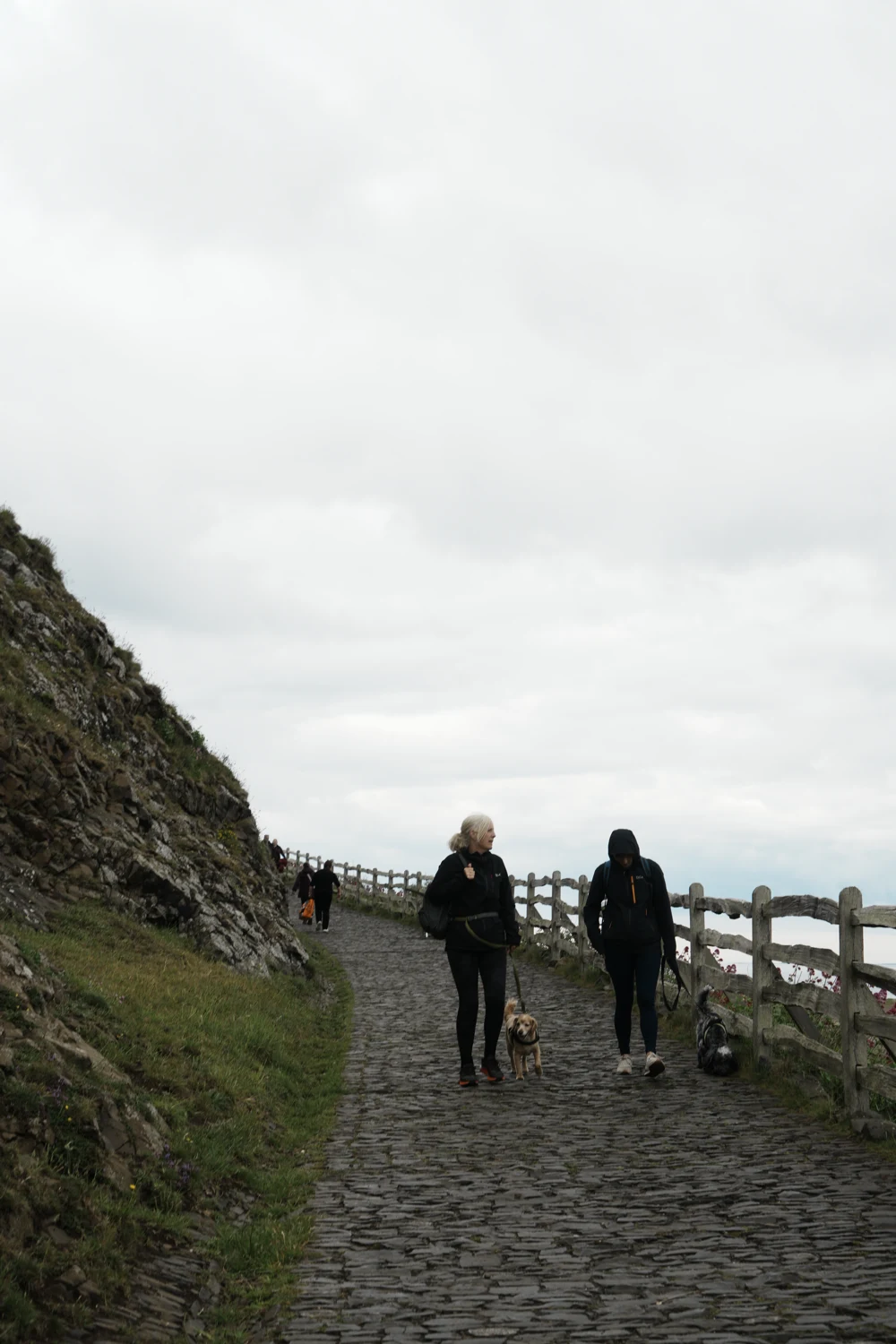 Wooden fencing defining the edge of a visitor path