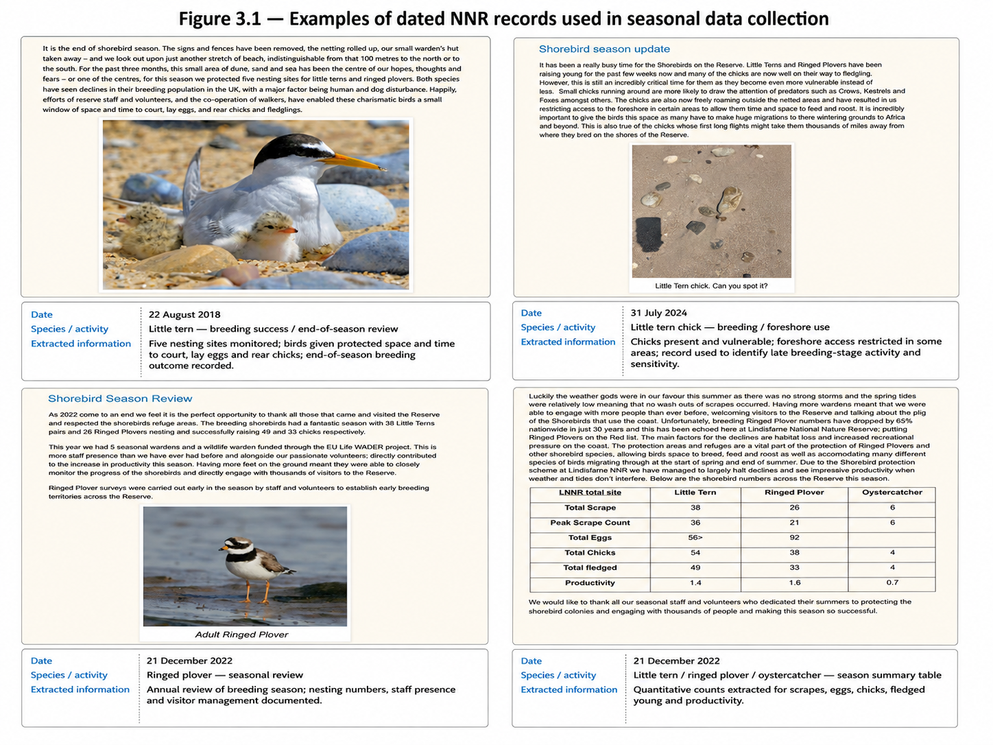 Four dated reserve records documenting shorebird breeding, seasonal reviews and nesting counts