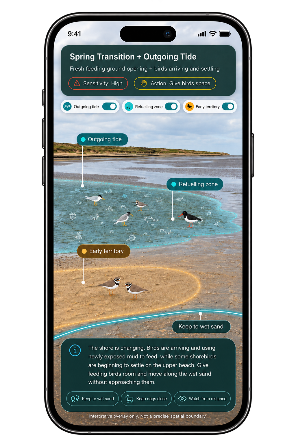 Spring AR state showing the mudflat feeding ground
