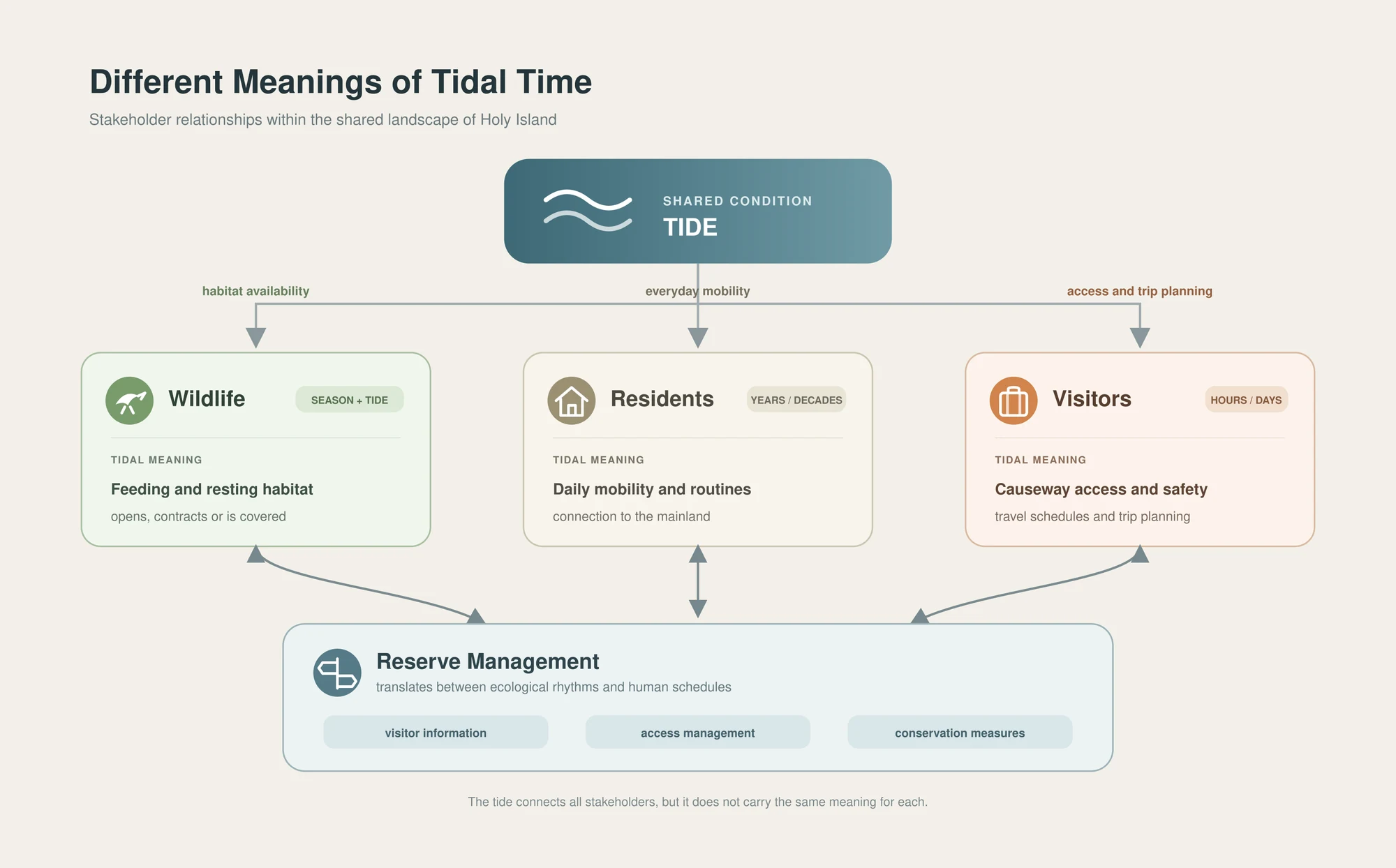 Stakeholder map showing different needs around the same tidal condition: visitor access, resident mobility, wildlife habitat and reserve management