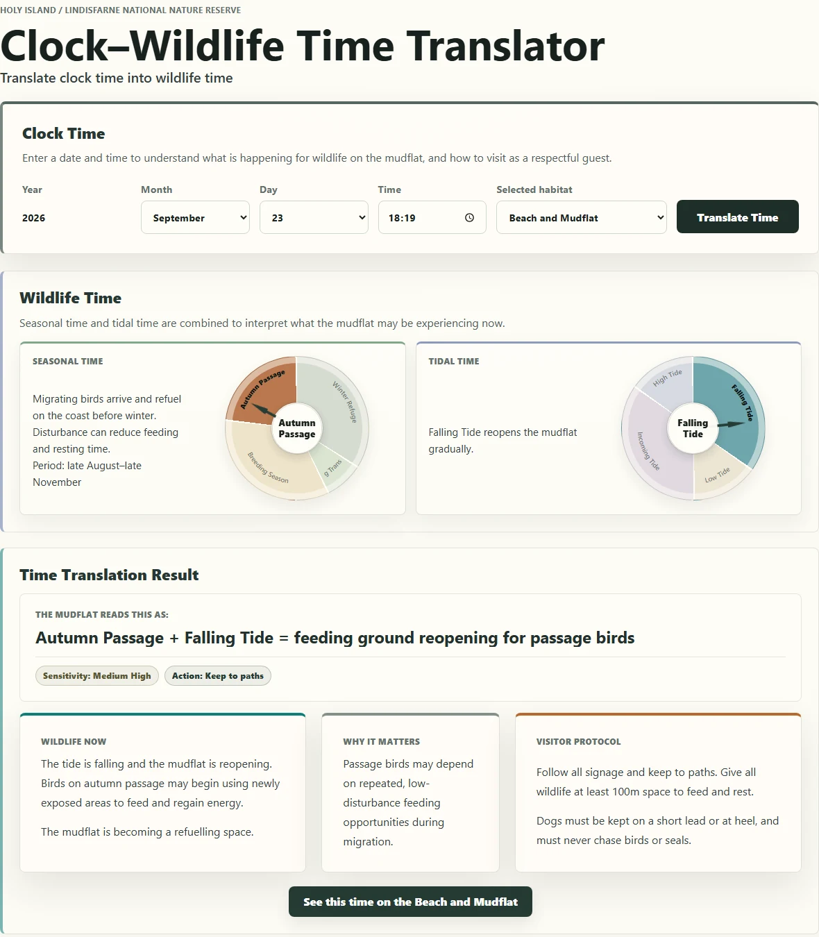 Date and time inputs in the web translator